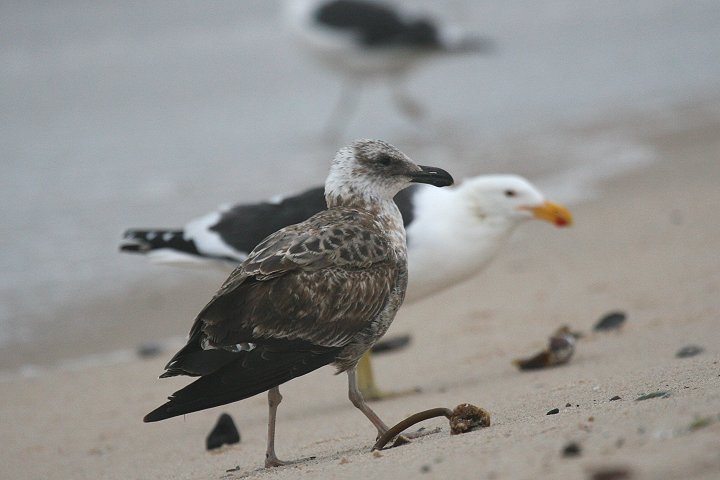 �~�i�~�I�I�Z�O���J�����̈���