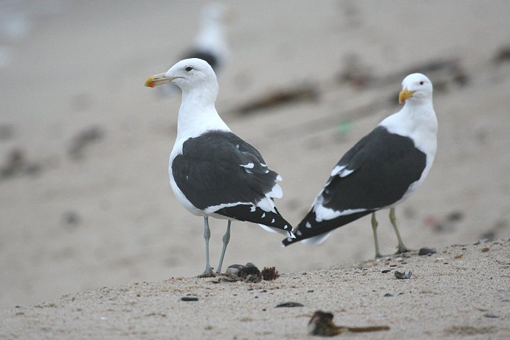 �~�i�~�I�I�Z�O���J�����̈���