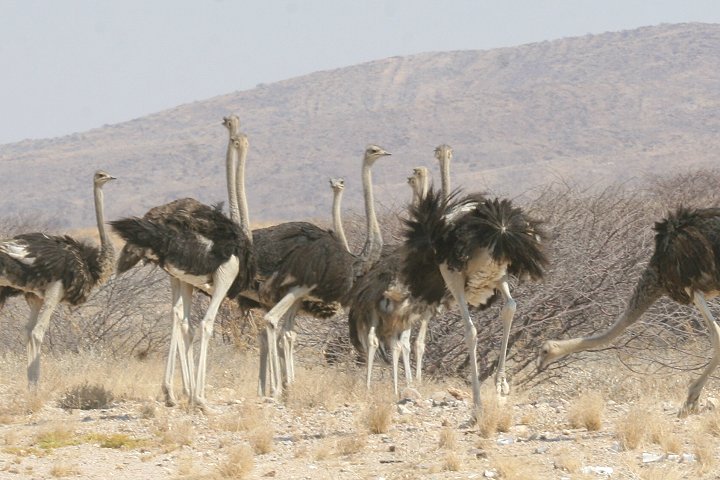 �ᒹ�̃O���[�v