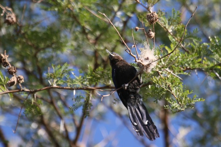 �~�i�~�J�}�n�V