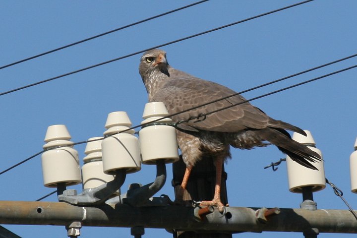 �R�V�W���E�^�I�I�^�J