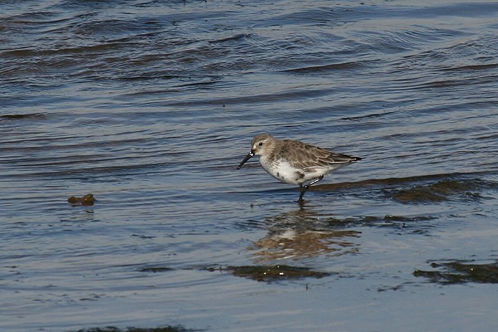 �n�}�V�M�i�~�H�j