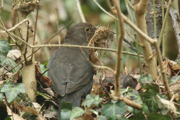 �N���E�^�h���́�