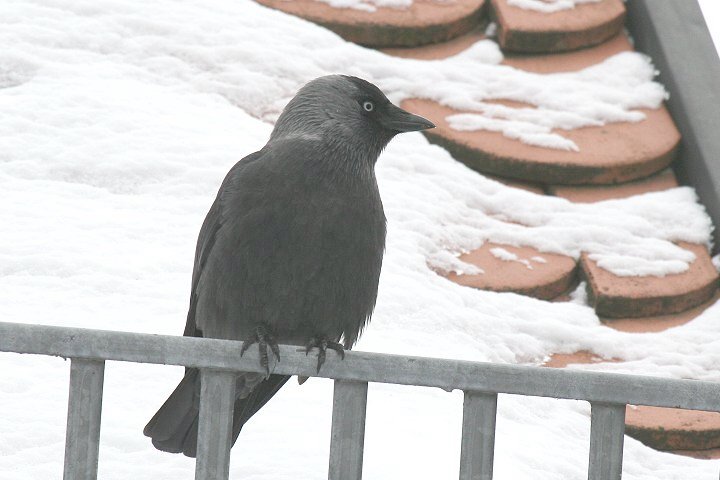 �j�V�R�N�}���K���X