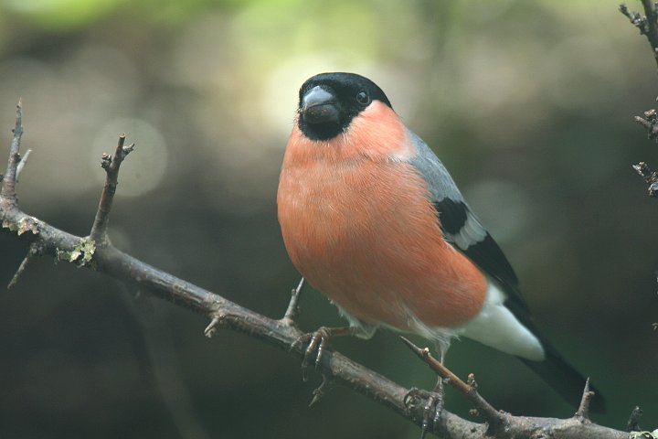 �E�\�i���j