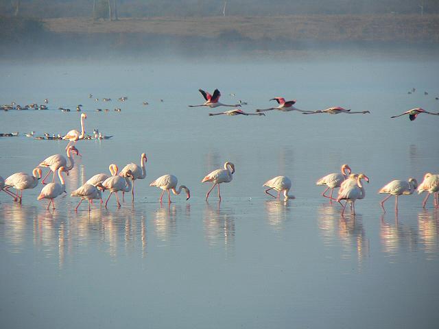 �t���~���S