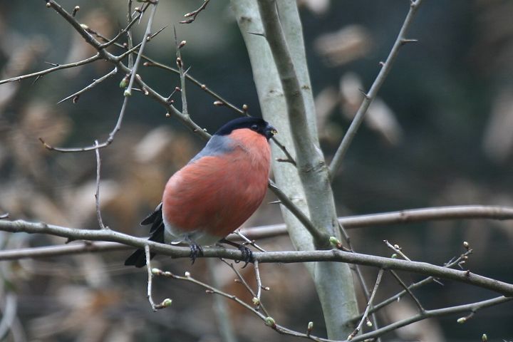 �E�\�i���j