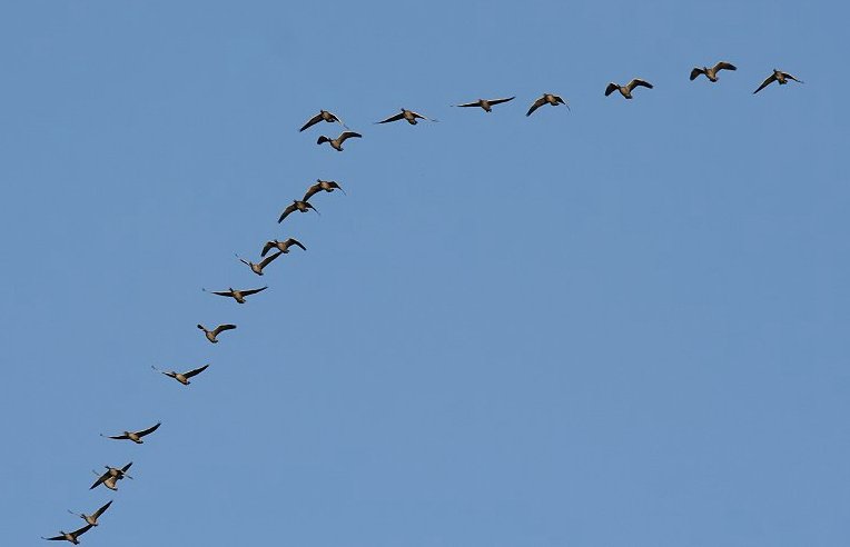 �n�C�C���K���̓n��