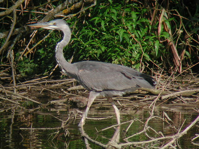 �A�I�T�M�i�c���j