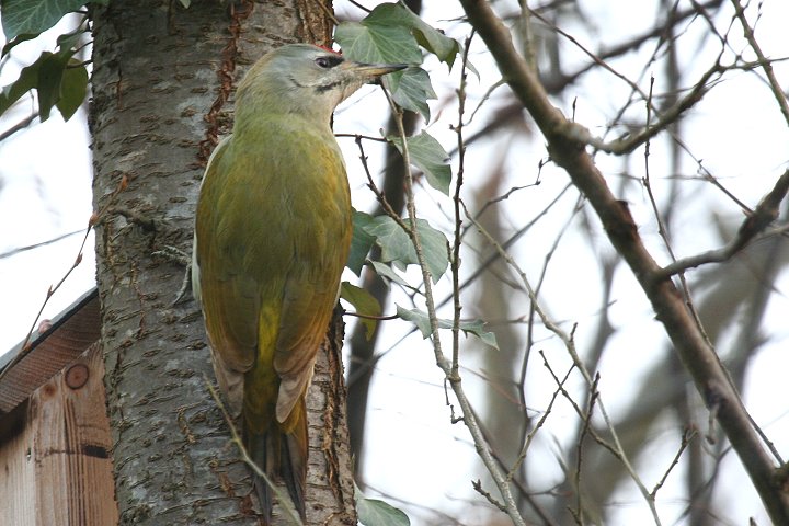 ���}�Q��