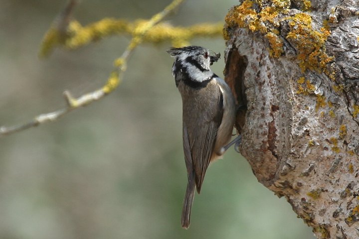 �J�������K��