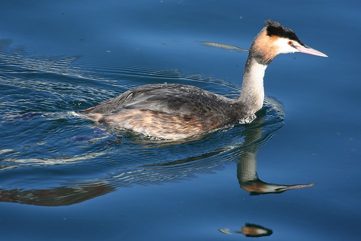 �J�������J�C�c�u��