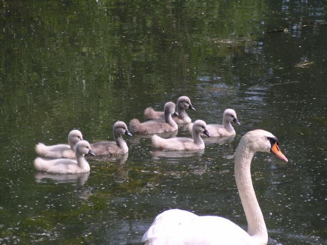 �R�u�n�N�`���E