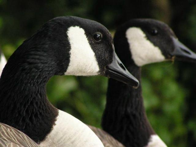 �J�i�_�K��