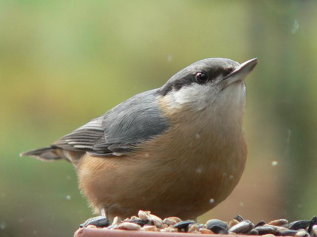 �S�W���E�J��