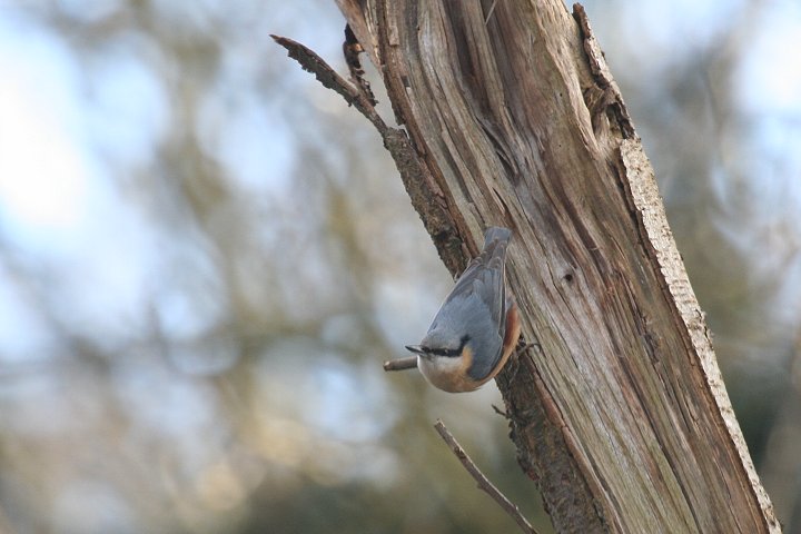 �S�W���E�J��