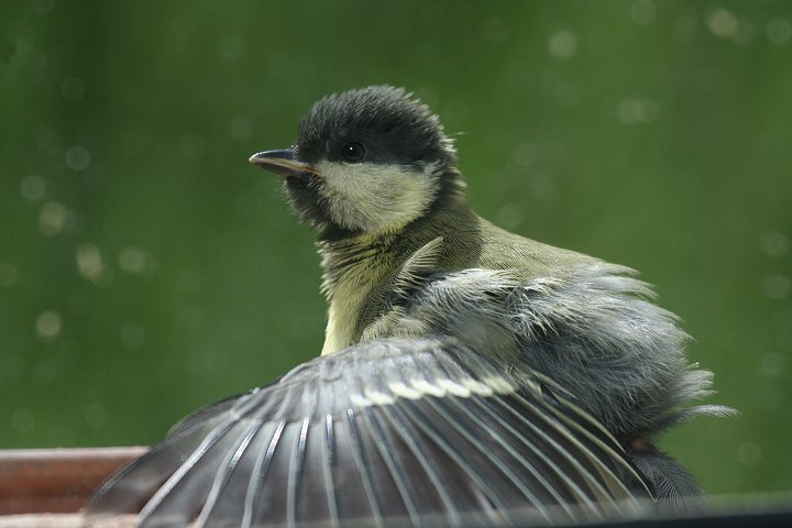 �V�W���E�J���i������������q�i�j