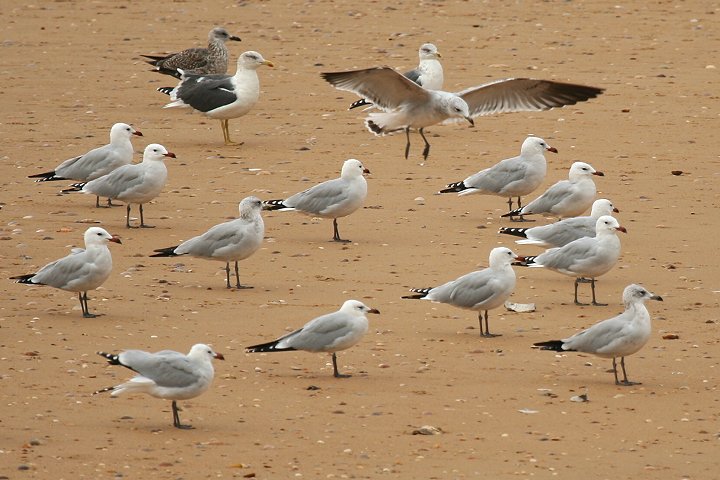 �A�J�n�V�J����