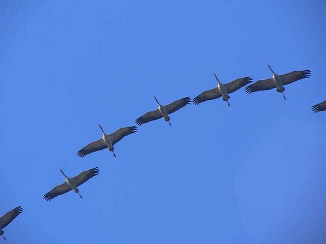 �N���d��