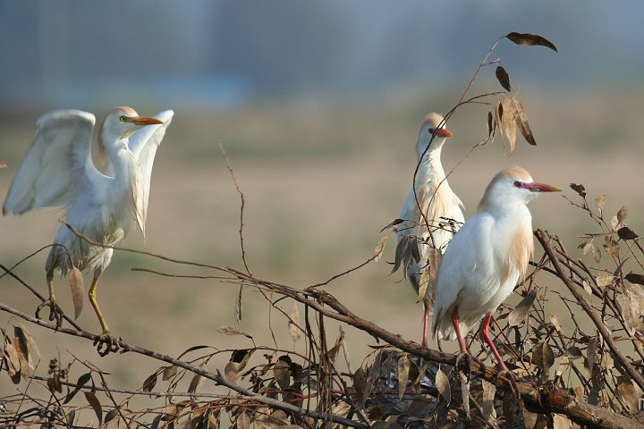 �A�}�T�M�i�����F�j