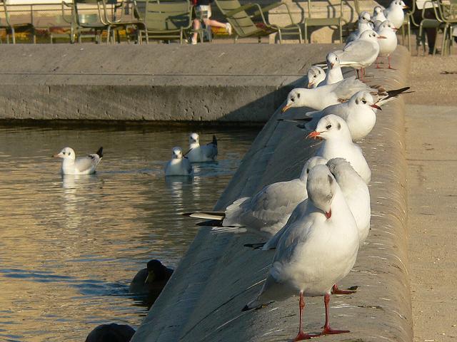 �����J�����i�~�H�j