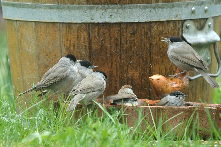 �Y�O�����V�N�C