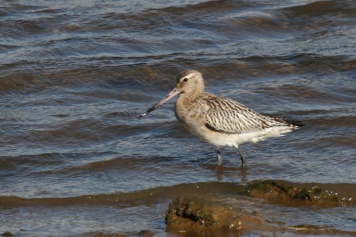 �I�I�\���n�V�V�M