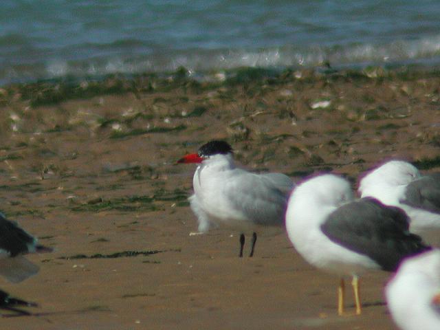 �I�j�A�W�T�V