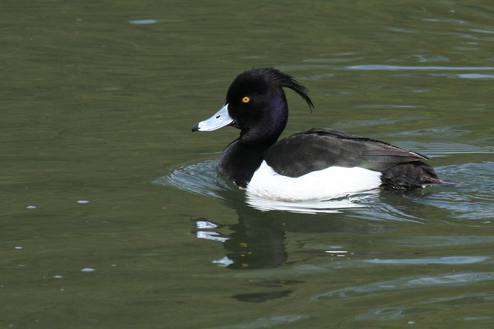 �L���N���n�W���́�