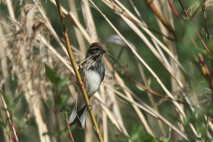 �I�I�W�������́�