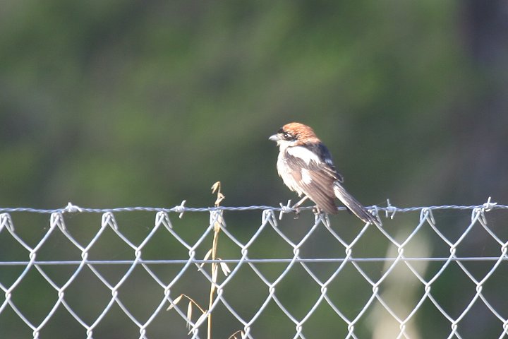 �Y�A�J���Y