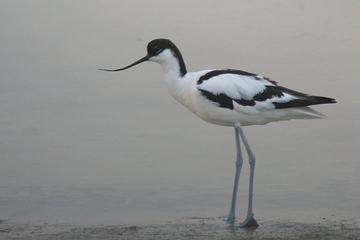 �\���n�V�Z�C�^�J�V�M