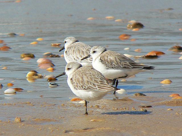 �~���r�V�M