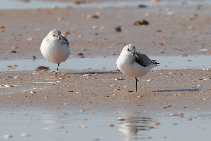 �~���r�V�M�i�~�H�j