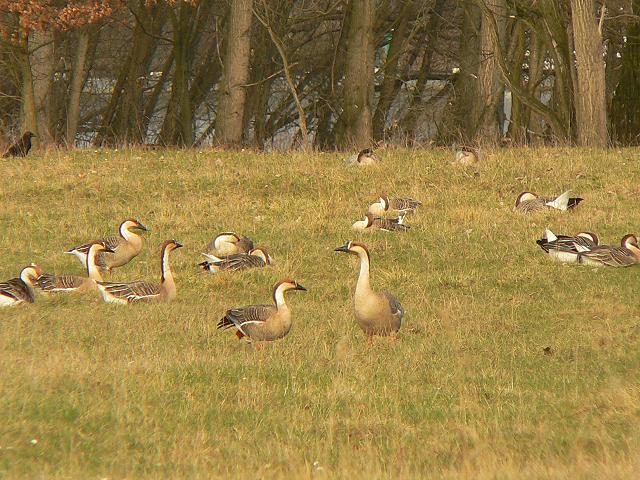 �T�J�c���K��