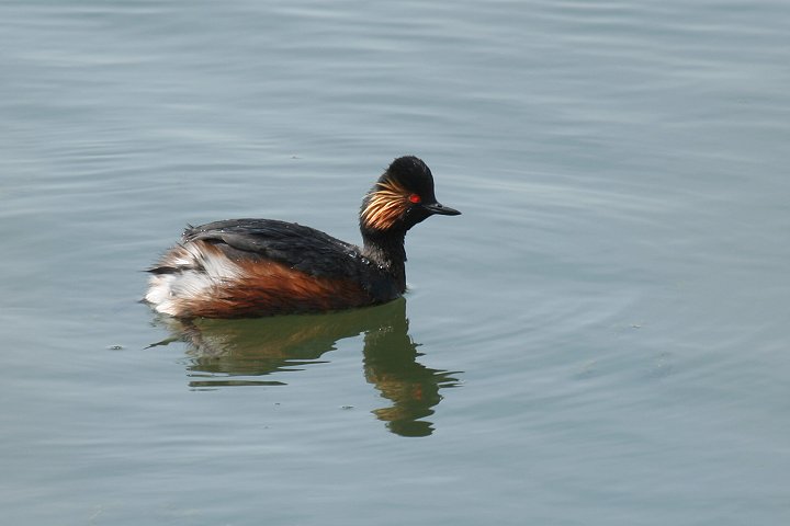 �n�W���J�C�c�u��