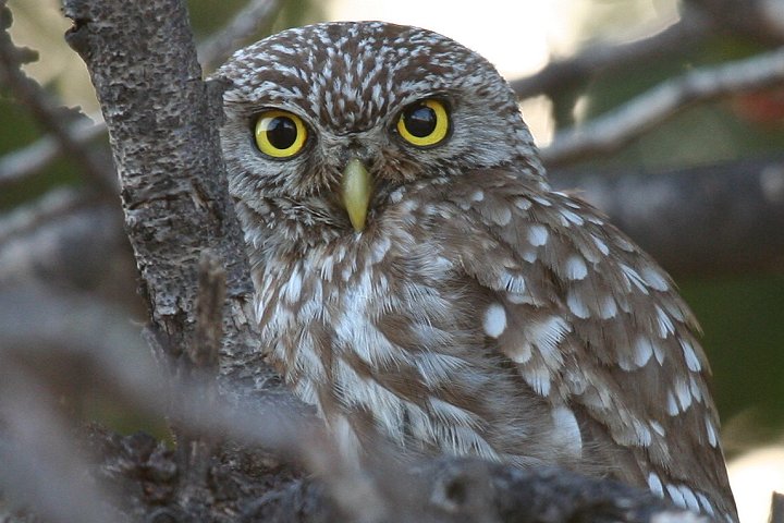 �R�L�����t�N���E