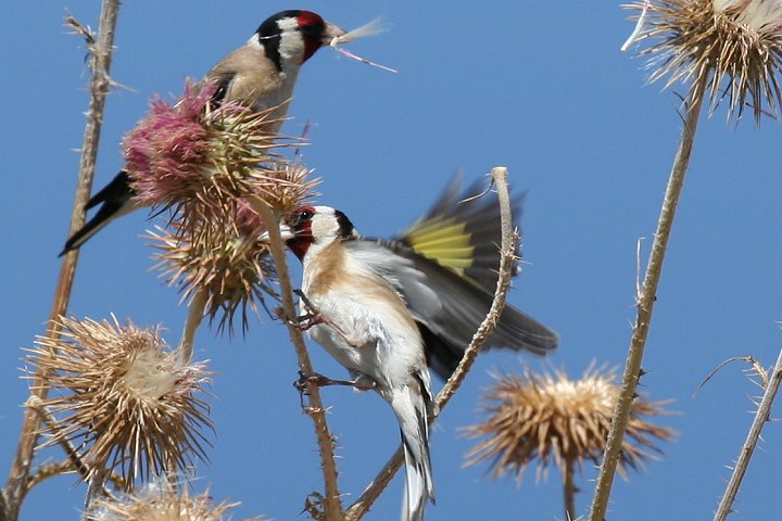 �S�V�L�q��