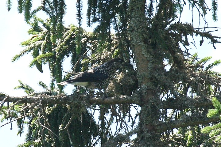 �z�V�K���X