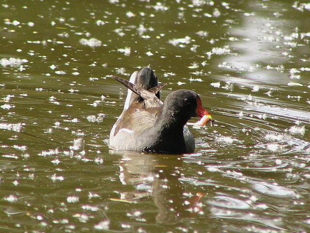 �o��(�����j