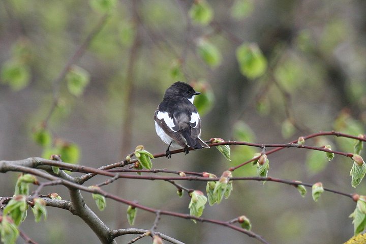 �}�_���q�^�L