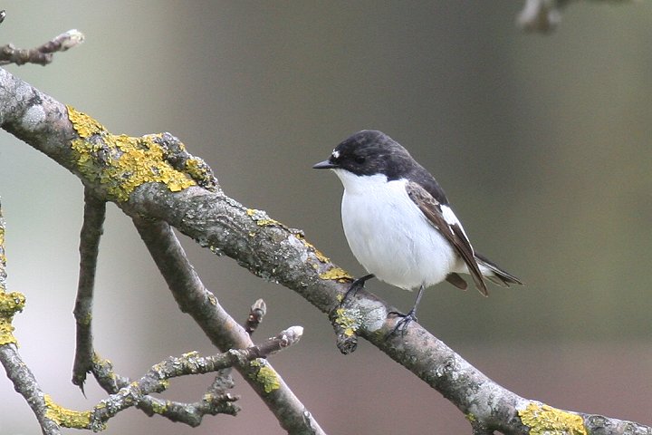 �}�_���q�^�L