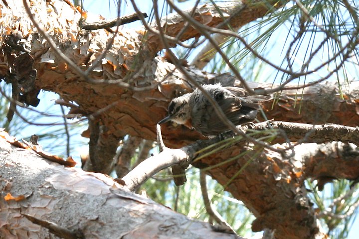 ���i�I�r�S�W���E�J��