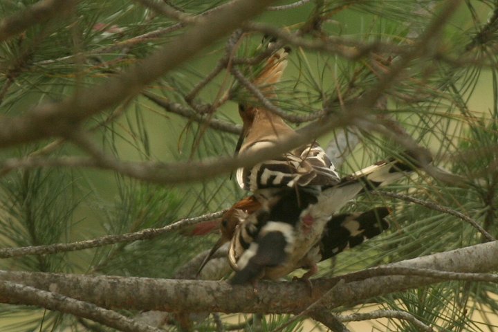 ���c�K�V��