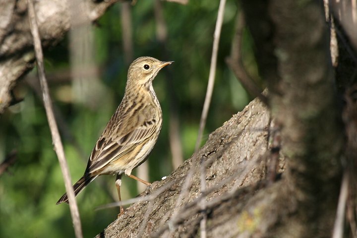 �}�L�o�^�q�o��