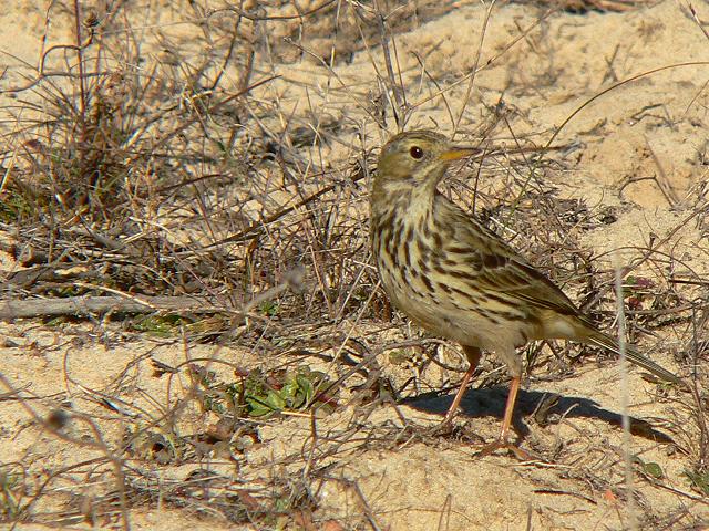 �}�L�o�^�q�o��