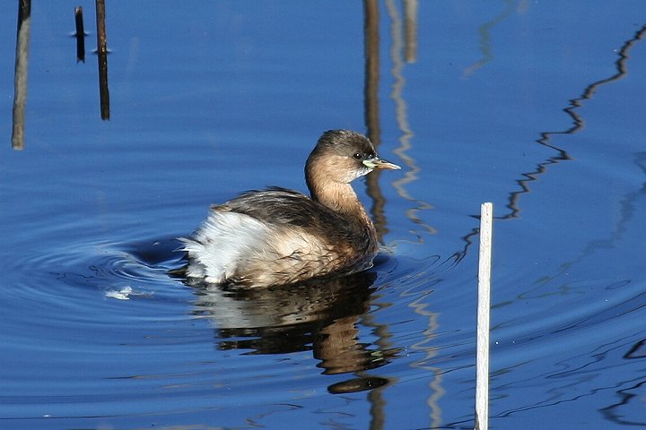 �J�C�c�u��