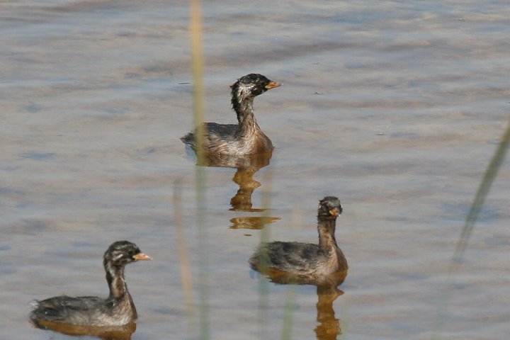 �J�C�c�u��