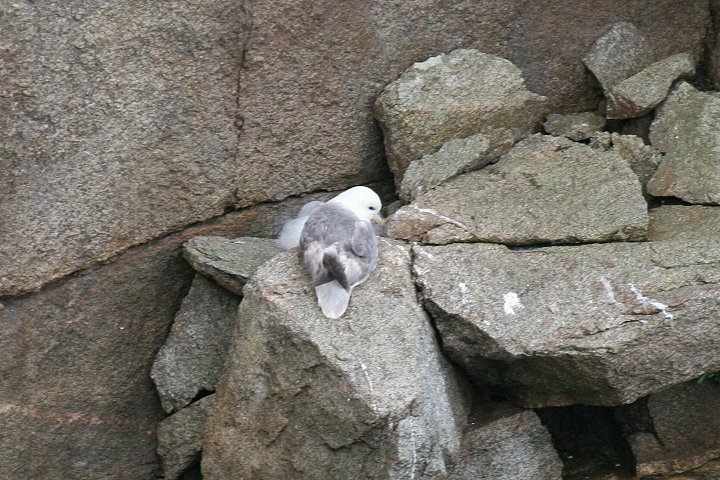 �t���}�J����