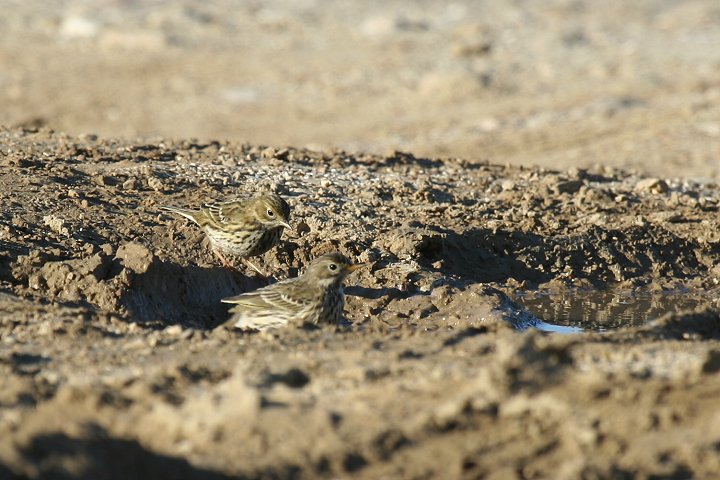 �}�L�o�^�q�o��